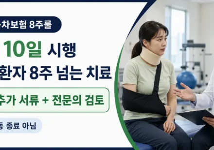 자동차보험 8주룰이 2026년 9월 10일부터 시행되며 경상환자의 8주 초과 치료는 추가 서류와 전문의 검토가 필요하다는 대표이미지