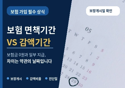 보험 면책기간 감액기간 차이 보험금 지급 기준 썸네일
